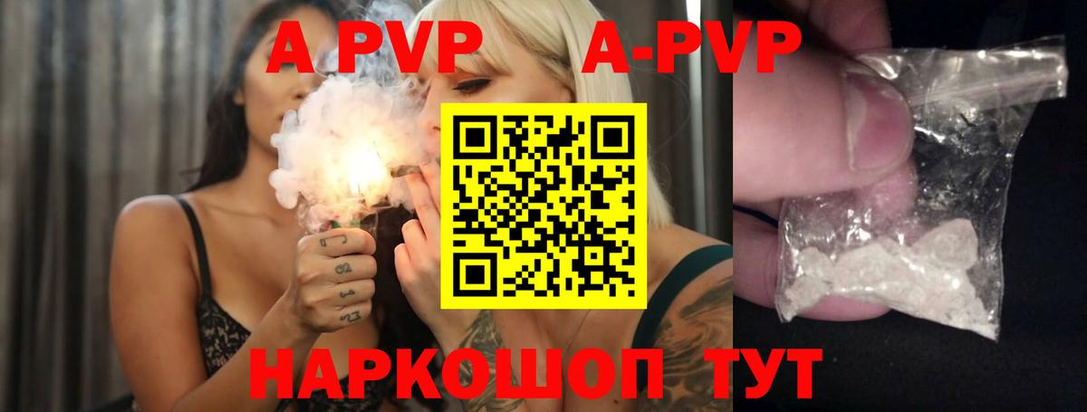 A-PVP СК КРИС Апшеронск