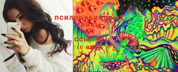 дурь Алзамай